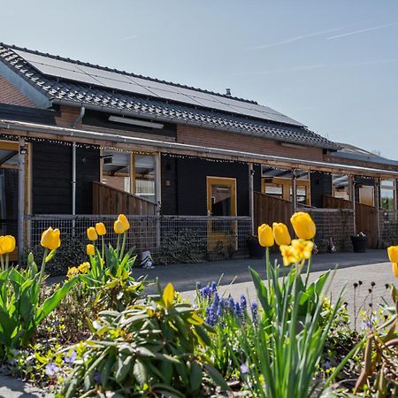 B&B Het Gelders Buitenleven Overasselt Exteriér fotografie