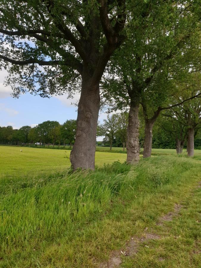 B&B Het Gelders Buitenleven Overasselt Exteriér fotografie