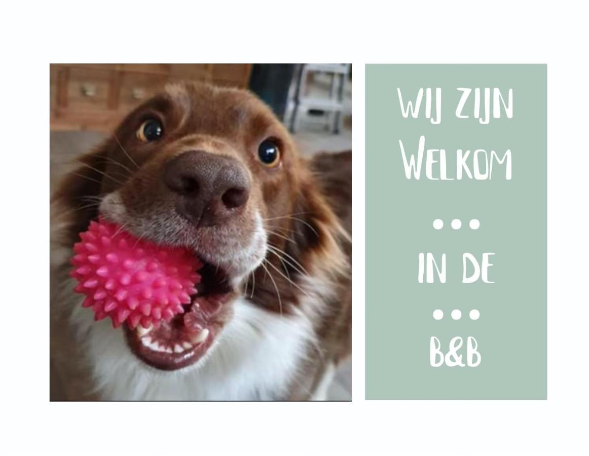 B&B Het Gelders Buitenleven Overasselt Exteriér fotografie