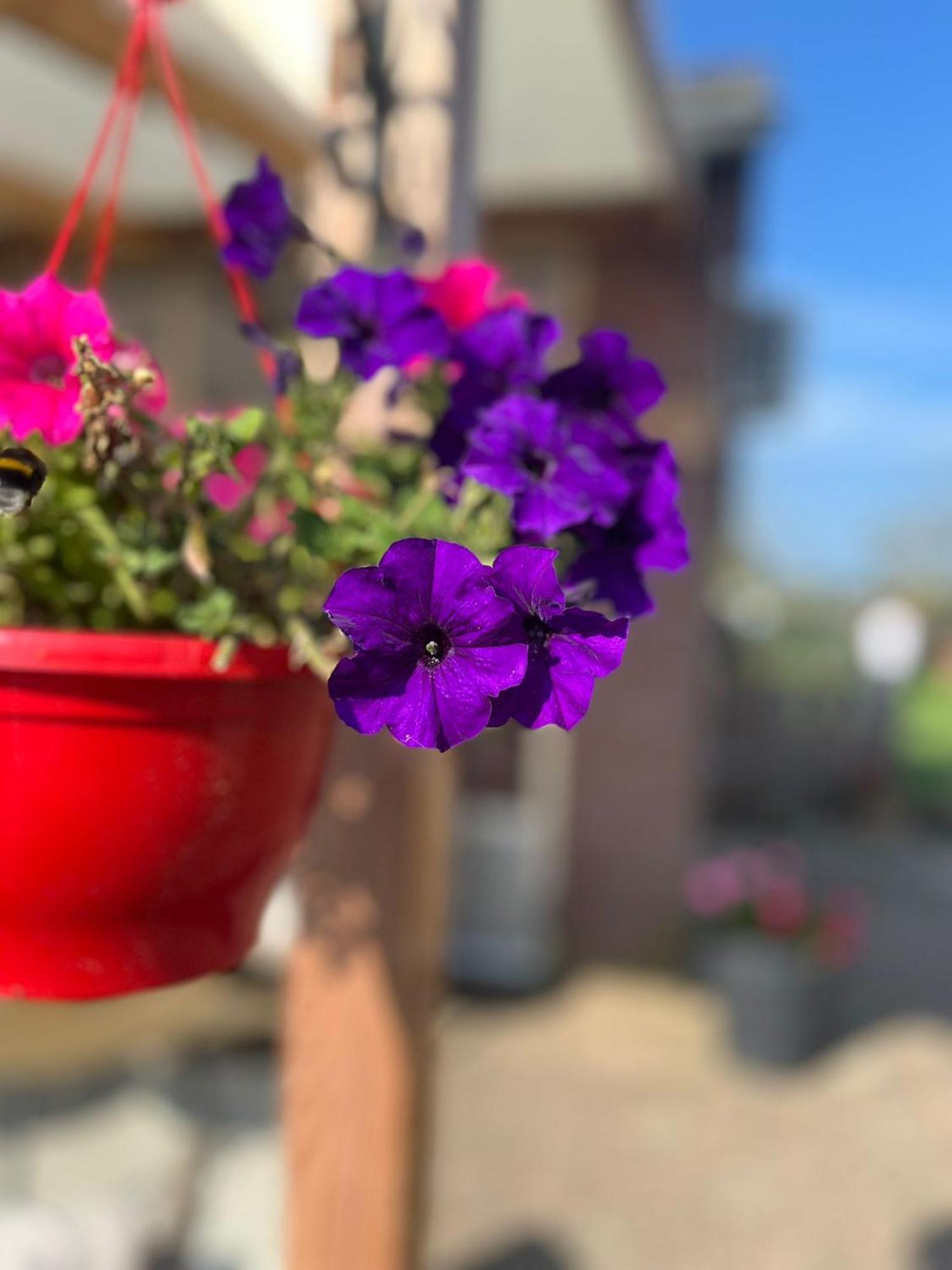 B&B Het Gelders Buitenleven Overasselt Exteriér fotografie