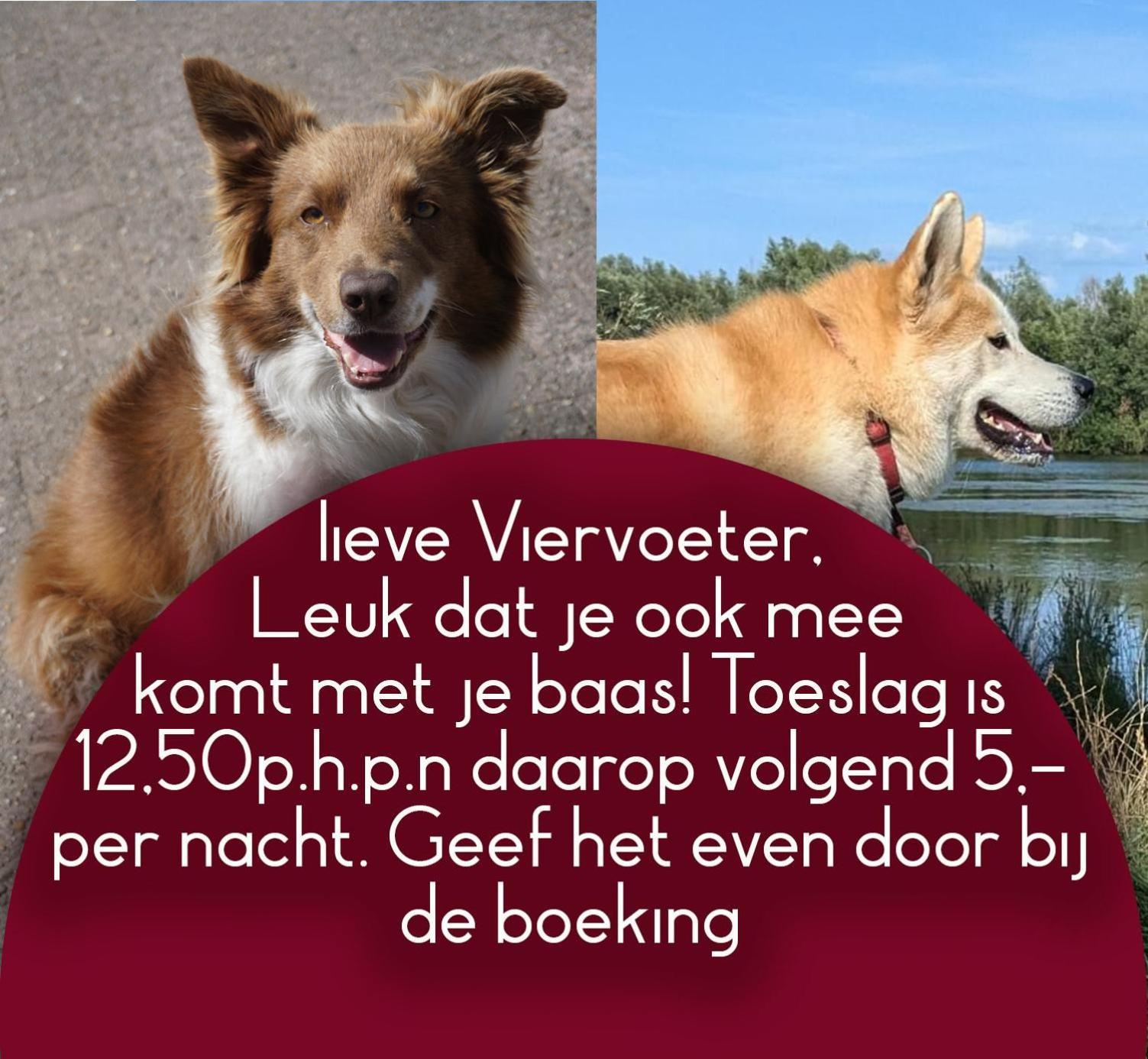 B&B Het Gelders Buitenleven Overasselt Exteriér fotografie